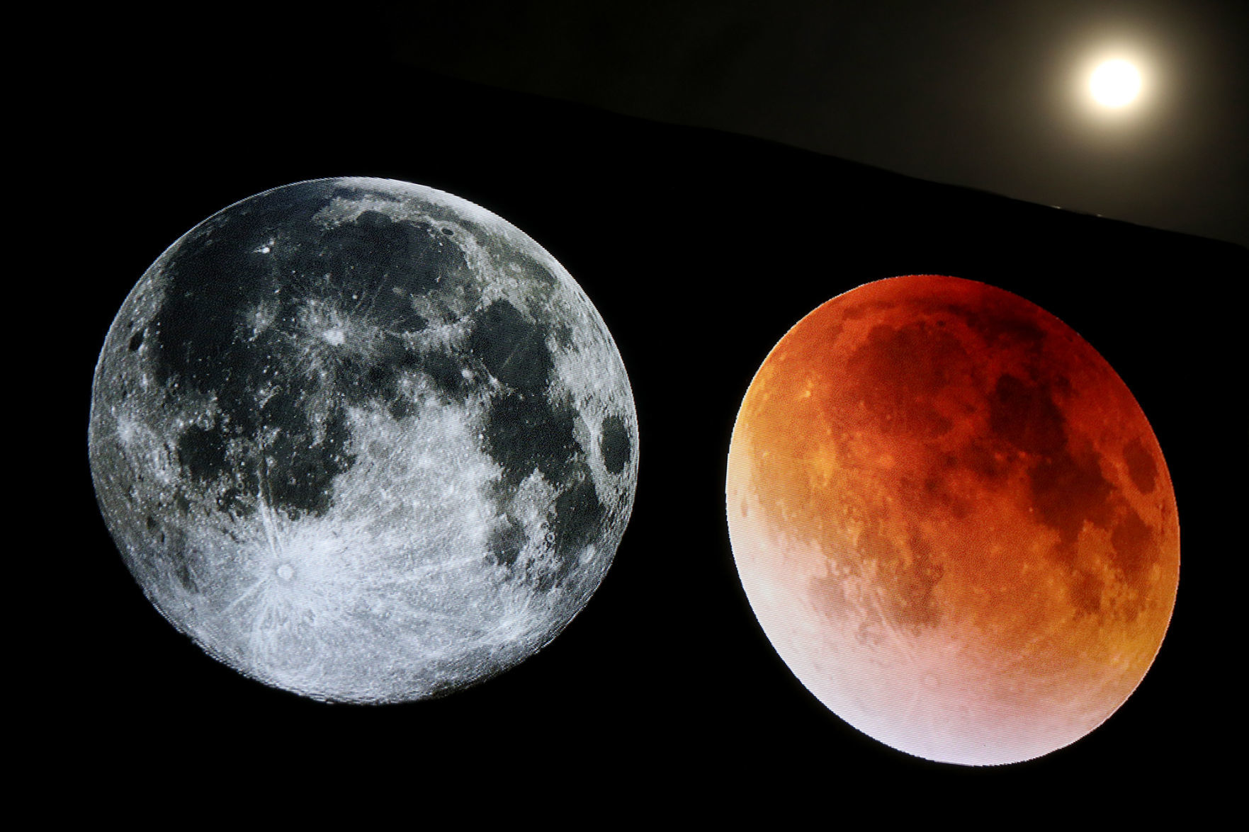 Full and Eclipsed Moon